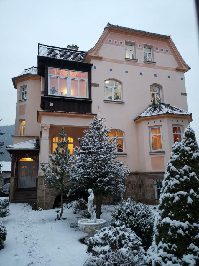 Villa Federer Dolni Zalezly Экстерьер фото